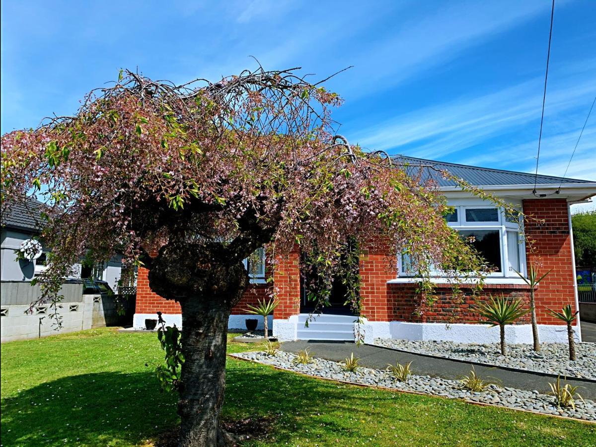 Andersons Bay Holiday House Villa Dunedin Exteriör bild