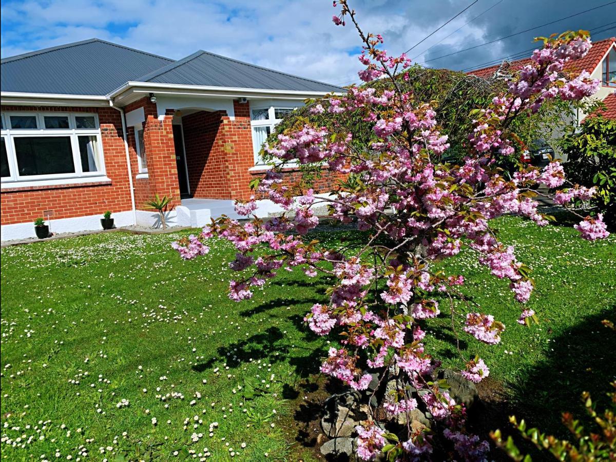 Andersons Bay Holiday House Villa Dunedin Exteriör bild